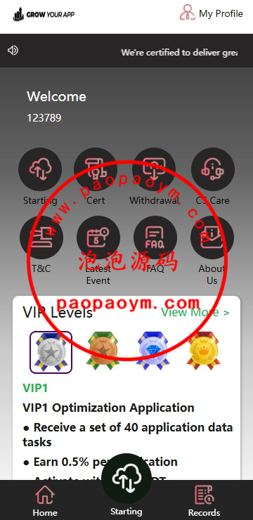 海外抢单刷单系统/模式分组派单/前端uniapp