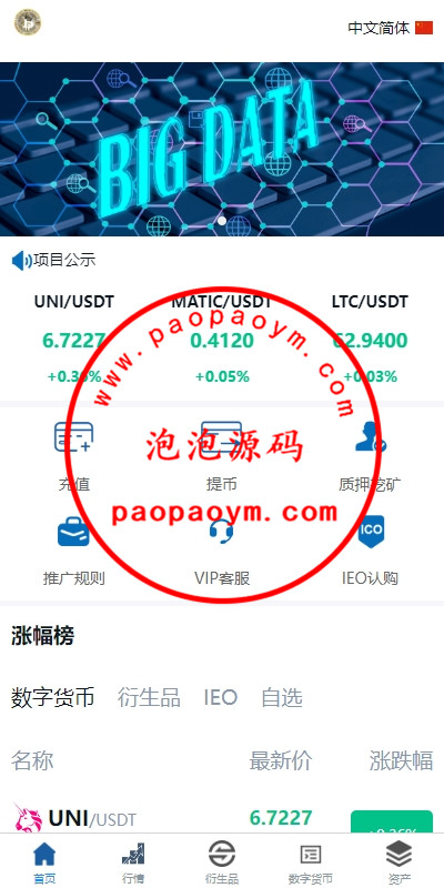 新版多语言交易所系统/虚拟币外汇交易/期权合约交易
